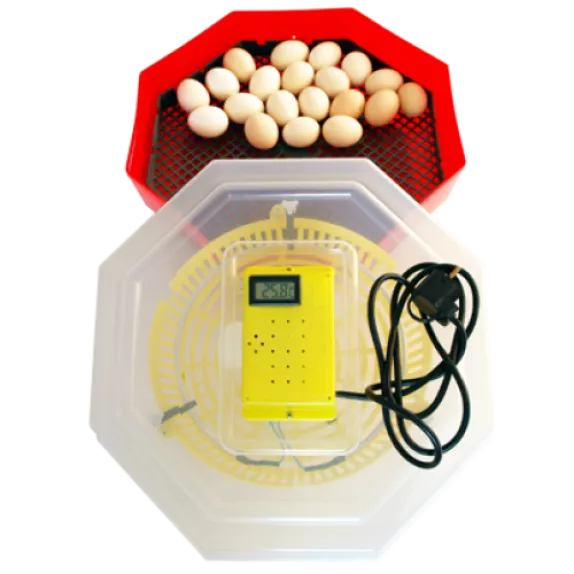 Incubator Cleo Termometru digital si Termostat. Capacitate 60 de oua de gaina