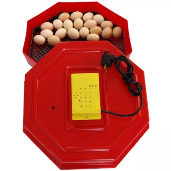 Incubator oua Cleo pentru 60 de oua de gaina