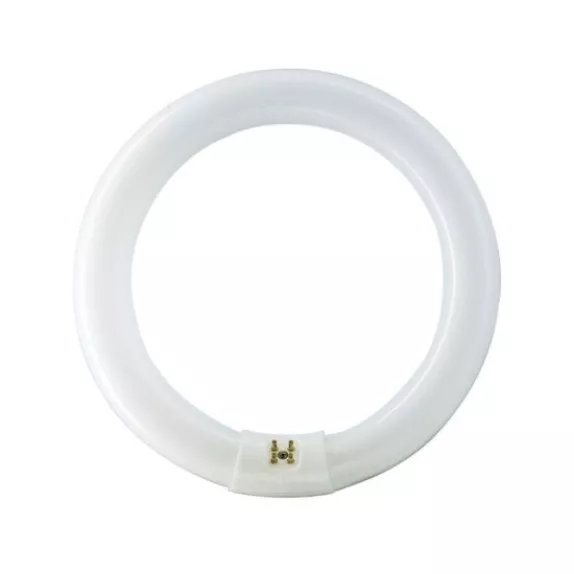 Tub Neon Fluorescent T8 circular MASTER TL-E 32W/840 Phillips